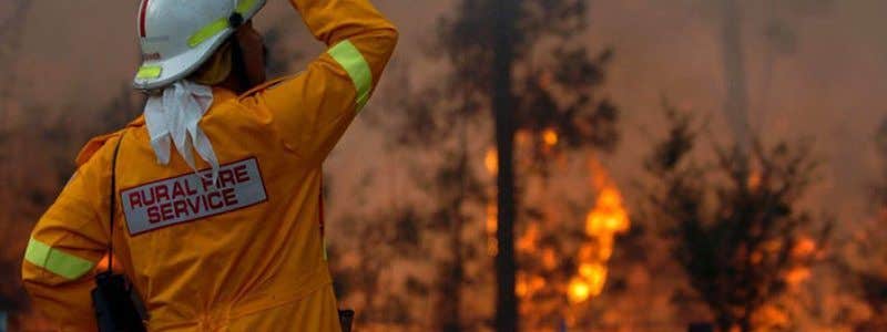 Building & Construction Design on Bush Fire Prone Land