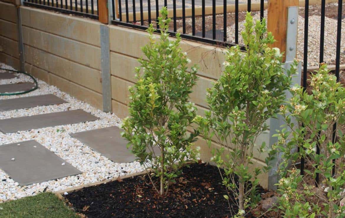 Galintel® Retaining Wall Fence Brackets