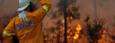 Building & Construction Design on Bush Fire Prone Land